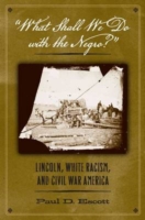 What Shall We Do with the Negro : Lincoln, White Racism, and Civil War America