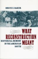 What Reconstruction Meant : Historical Memory in the American South (The American South Series)