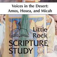 Voices in the Desert (3-Volume Set) : Amos, Hosea, Micah - 10 Sessions