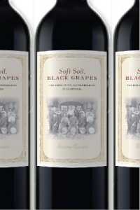 カリフォルニアにおけるイタリア系ワイン産業の誕生<br>Soft Soil, Black Grapes : The Birth of Italian Winemaking in California (Nation of Nations)