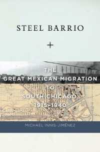 Steel Barrio : The Great Mexican Migration to South Chicago, 1915-1940 (Culture, Labor, History)