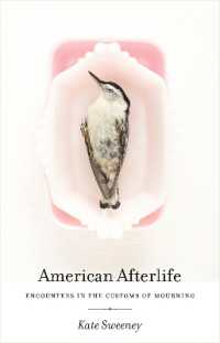 American Afterlife : Encounters in the Customs of Mourning