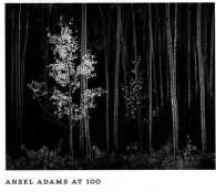 Ansel Adams at 100 （SLP）