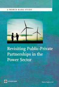 Revisiting Public-Private Partnerships in the Power Sector (World Bank Studies)
