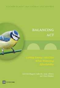 Balancing Act : Cutting Energy Subsidies While Protecting Affordability