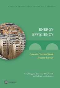 Energy Efficiency : Lessons Learned from Success Stories