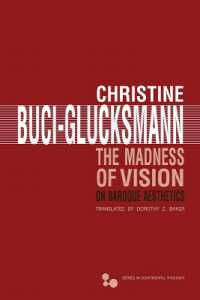 The Madness of Vision : On Baroque Aesthetics (Series in Continental Thought)
