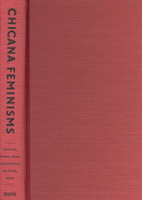 Chicana Feminisms : A Critical Reader (Latin America Otherwise)