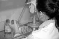 生資本：ポスト・ゲノム時代の構造<br>Biocapital : The Constitution of Postgenomic Life