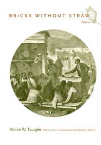 Bricks without Straw : A Novel