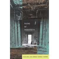 モダニティーの廃墟<br>Ruins of Modernity (Politics, History, and Culture)