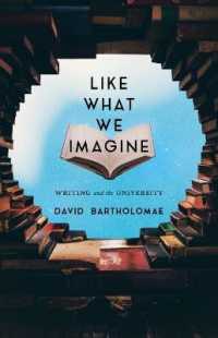 Like What We Imagine : Essays on Writing and Teaching (Composition, Literacy, and Culture)