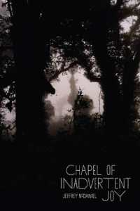 Chapel of Inadvertent Joy (Pitt Poetry Series)