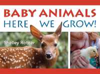 Animals! : Here We Grow （Board Book）