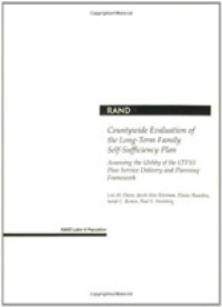 Countywide Evaluation of the Long-term Family Self-sufficiency Plan : Assessing the Utility of the Ltfss Plan Service Delivery and Planning Framework