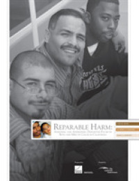 Reparable Harm : Assessing and Addressing Disparities Faced by Boys and Men of Color in California