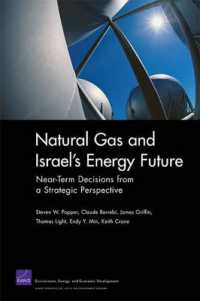 Natural Gas and Israel's Energy Future : Near-Term Decisions from a Strategic Perspective