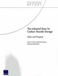 The Industrial Base for Carbon Dioxide Storage : Status and Prospects