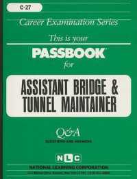 Assistant Bridge and Tunnel Maintainer