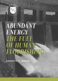 Abundant Energy : The Fuel of Human Flourishing (Values and Capitalism) -- Paperback / softback