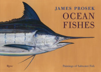 James Prosek : Ocean Fishes: Paintings of Saltwater Game Fish （BOX LTD DL）