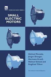 Small Electric Motors (Energy Engineering)