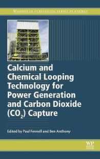 Calcium and Chemical Looping Technology for Power Generation and Carbon Dioxide (CO2) Capture (Woodhead Publishing Series in Energy)