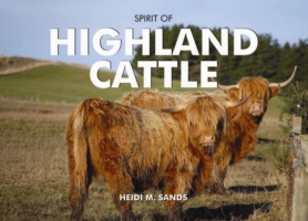 Spirit of Highland Cattle (Spirit of Britain)