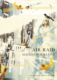 Air Raid (The German List)