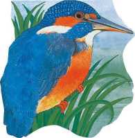 Pocket Kingfisher (Pocket Pals Ser) （BRDBK）