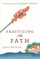 Practicing the Path : A Commentary on the Lamrim Chenmo