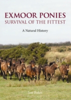 Exmoor Ponies Survival of the Fittest : A Natural History -- Hardback