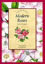 Little Book of Modern Roses (Stars & flowers) -- Hardback