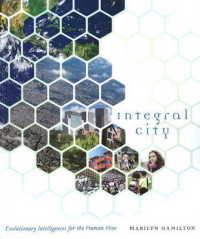 Integral City : Evolutionary Intelligences for the Human Hive