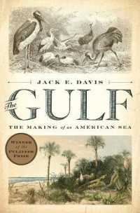 The Gulf : The Making of an American Sea