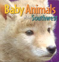 Baby Animals of the Southwest （Board Book）