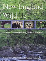New England Wildlife -- Paperback / softback