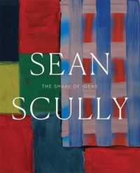 Sean Scully : The Shape of Ideas