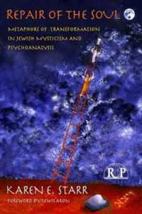 Repair of the Soul : Metaphors of Transformation in Jewish Mysticism and Psychoanalysis (Relational Perspectives Book Series)
