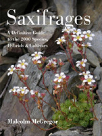 Saxifrages : A Definitive Guide to the 2000 Species, Hybrids & Cultivars