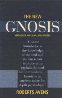 The New Gnosis : Heidegger, Hillman and Angels