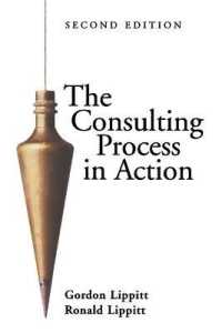 The Consulting Process in Action （2 SUB）