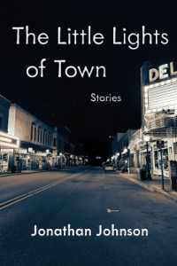 The Little Lights of Town : Stories (Carnegie Mellon University Press Fiction Series)