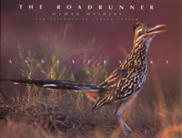 The Roadrunner （10TH）