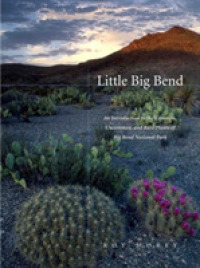 Little Big Bend : Common, Uncommon, and Rare Plants of Big Bend National Park (Grover E. Murray Studies in the American Southwest)
