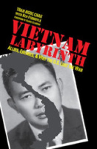 Vietnam Labyrinth : Allies, Enemies, and Why the U.S. Lost the War (Modern Southeast Asia)
