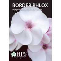 Border Phlox （2ND）