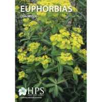 Euphorbias （3RD）