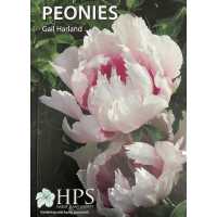 Peonies （2ND）