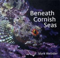 Beneath Cornish Seas